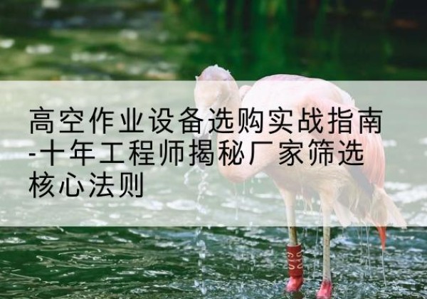 东山剪叉式升降机厂家-高空作业设备选购实战指南-十年工程师揭秘厂家筛选核心法则